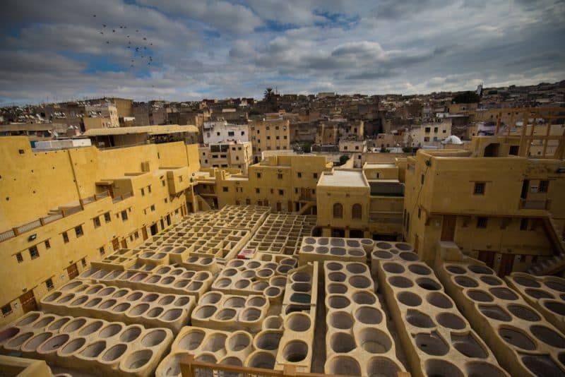 Guided Medina Walking Tours
